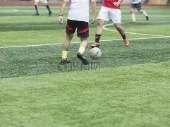 瓜迪奥拉透,多库伤停两,三周,开云体育,开云体育官网,开云体育app,开云体育平台,KAIYUN,SPORTS,kaiyun登录入口