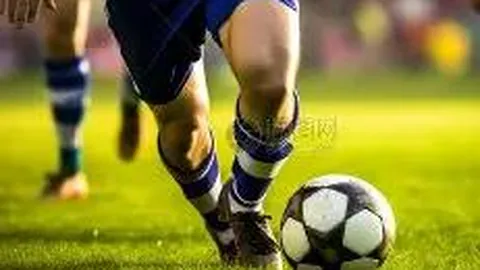 中国体坛十大传奇巨星