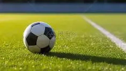 “Ope体育资讯站：超387万条新闻，官网入口a58688.cc，百度谷歌覆盖xx56688.cc，新闻中心开放xx55688.cc，美国工作职位信息”