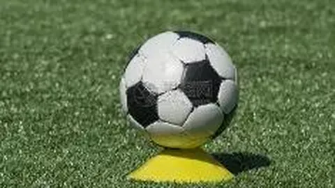 开云体育 资讯 100247 v5z